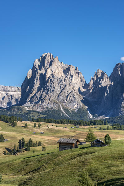 Alpe di Siusi/Seiser Alm, Dolomites, South Tyrol, Italy. View from the Alpe di Siusi to the peak of Sassolungo/Langkofel 