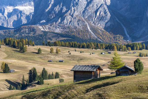 Alpe di Siusi/Seiser Alm, Dolomites, South Tyrol, Italy. Autumn colors on the Alpe di Siusi/Seiser Alm