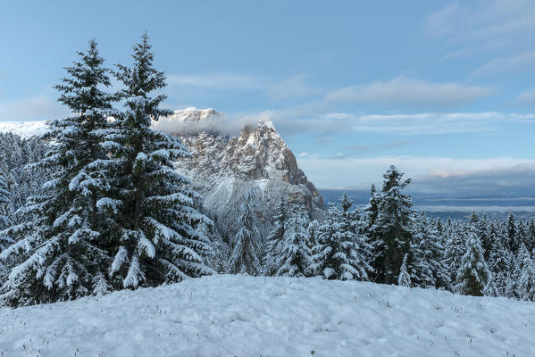 Alpe di Siusi/Seiser Alm, Dolomites, South Tyrol, Italy. The first autumn snow on the Alpe di Siusi/Seiser Alm