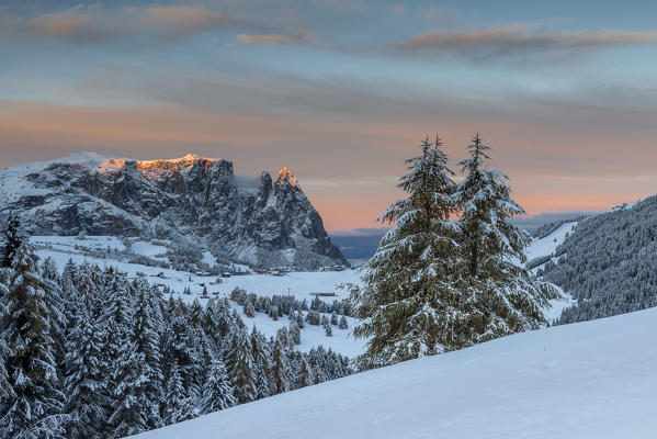 Alpe di Siusi/Seiser Alm, Dolomites, South Tyrol, Italy. The first autumn snow on the Alpe di Siusi/Seiser Alm