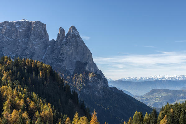 Alpe di Siusi/Seiser Alm, Dolomites, South Tyrol, Italy. Autumn colors on the Alpe di Siusi/Seiser Alm with the Mount Sciliar/Schlern