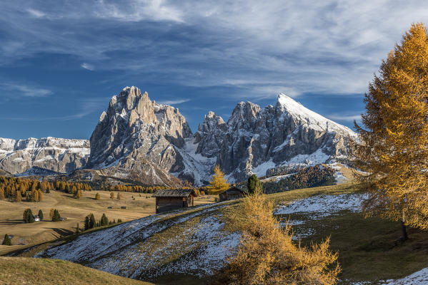 Alpe di Siusi/Seiser Alm, Dolomites, South Tyrol, Italy. Autumn colors on the Alpe di Siusi/Seiser Alm with the Sassolungo/Langkofel and the Sassopiatto/Plattkofel in background