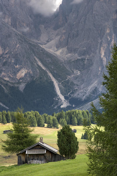 Alpe di Siusi/Seiser Alm, Dolomites, South Tyrol, Italy. 