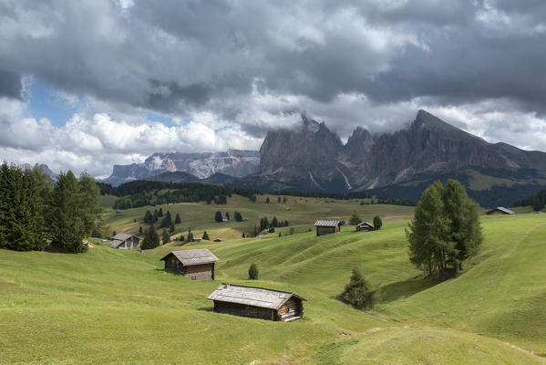 Alpe di Siusi/Seiser Alm, Dolomites, South Tyrol, Italy. View from the Alpe di Siusi to the peaks of Sassolungo/Langkofel and Sassopiatto / Plattkofel