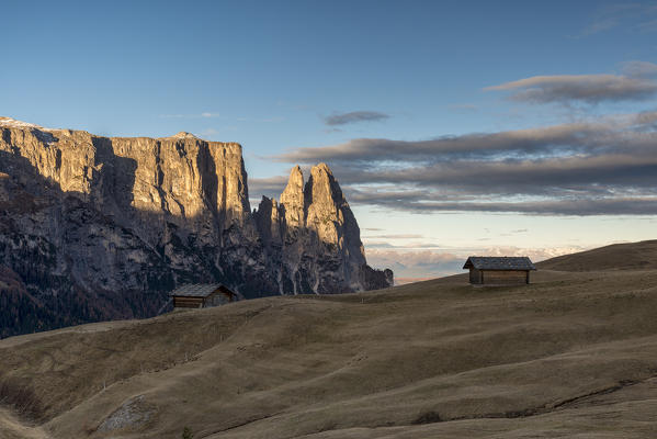 Alpe di Siusi/Seiser Alm, Dolomites, South Tyrol, Italy. Autumn on the Alpe di Siusi/Seiser Alm. In the background the peaks of Sciliar/Schlern, Euringer and Santner