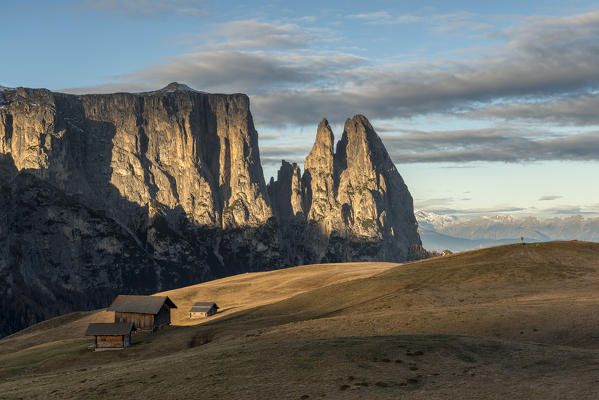 Alpe di Siusi/Seiser Alm, Dolomites, South Tyrol, Italy. Autumn on the Alpe di Siusi/Seiser Alm. In the background the peaks of Sciliar/Schlern, Euringer and Santner