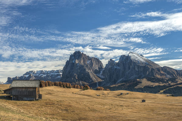 Alpe di Siusi/Seiser Alm, Dolomites, South Tyrol, Italy. Autumn on the Alpe di Siusi/Seiser Alm with the peaks of Sella, Sassolungo/Langkofel and Sassopiatto/Plattkofel