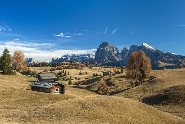 Alpe di Siusi/Seiser Alm, Dolomites, South Tyrol, Italy. Autumn on the Alpe di Siusi/Seiser Alm with the peaks of Sella, Sassolungo/Langkofel and Sassopiatto/Plattkofel