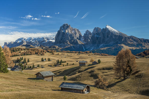 Alpe di Siusi/Seiser Alm, Dolomites, South Tyrol, Italy. Autumn on the Alpe di Siusi/Seiser Alm with the peaks of Sella, Sassolungo/Langkofel and Sassopiatto/Plattkofel