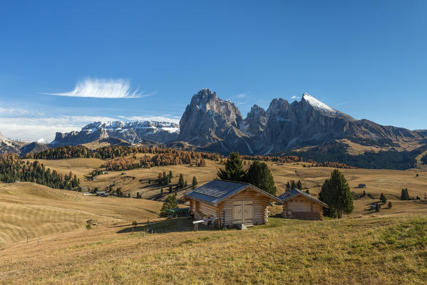 Alpe di Siusi/Seiser Alm, Dolomites, South Tyrol, Italy. Autumn on the Alpe di Siusi/Seiser Alm with the peaks of Sella, Sassolungo/Langkofel and Sassopiatto/Plattkofel