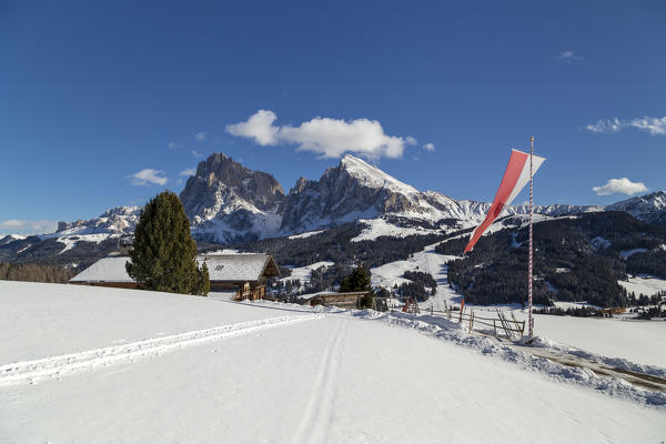 Alpe di Siusi/Seiser Alm, Dolomites, South Tyrol, Italy. The Rauch mountain hut