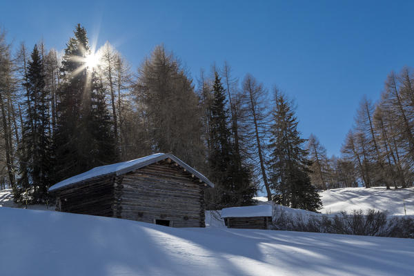 Alpe di Siusi/Seiser Alm, Dolomites, South Tyrol, Italy.