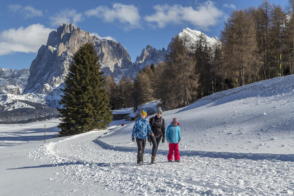 Alpe di Siusi/Seiser Alm, Dolomites, South Tyrol, Italy.