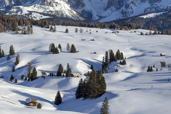 Alpe di Siusi/Seiser Alm, Dolomites, South Tyrol, Italy. Winter landscape on the Alpe di Siusi/Seiser Alm with the peaks of Sassolungo / Langkofel and Sassopiatto / Plattkofel
