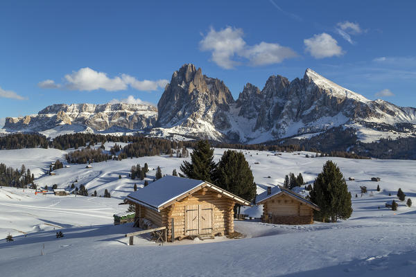 Alpe di Siusi/Seiser Alm, Dolomites, South Tyrol, Italy. Winter landscape on the Alpe di Siusi/Seiser Alm with the peaks of Sassolungo / Langkofel and Sassopiatto / Plattkofel