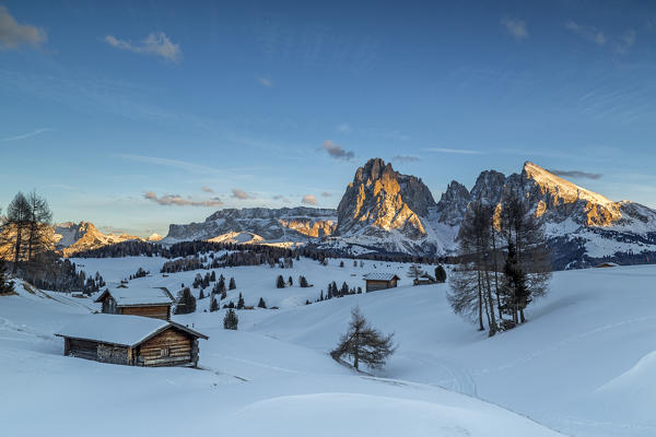 Alpe di Siusi/Seiser Alm, Dolomites, South Tyrol, Italy. Sunset on the Alpe di Siusi / Seiser Alm with the peaks of Sassolungo / Langkofel and Sassopiatto / Plattkofel