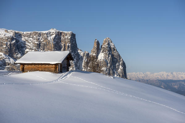 Alpe di Siusi/Seiser Alm, Dolomites, South Tyrol, Italy. Winter landscape on the Alpe di Siusi/Seiser Alm with the peaks of Sciliar / Schlern, Euringer and Santner