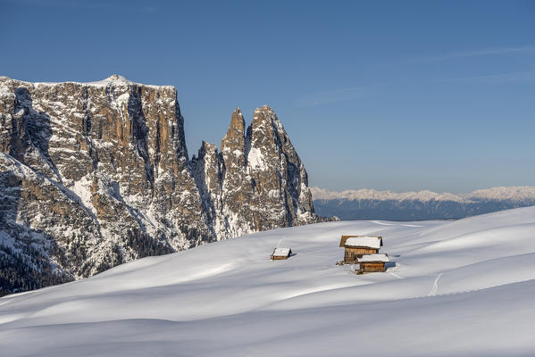 Alpe di Siusi/Seiser Alm, Dolomites, South Tyrol, Italy. Winter landscape on the Alpe di Siusi/Seiser Alm with the peaks of Sciliar / Schlern, Euringer and Santner