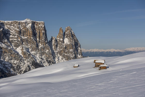 Alpe di Siusi/Seiser Alm, Dolomites, South Tyrol, Italy. Winter landscape on the Alpe di Siusi/Seiser Alm with the peaks of Sciliar / Schlern, Euringer and Santner