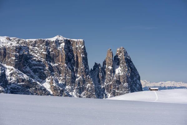 Alpe di Siusi/Seiser Alm, Dolomites, South Tyrol, Italy. Winter landscape on the Alpe di Siusi/Seiser Alm with the peaks of Sciliar / Schlern, Euringer and Santner