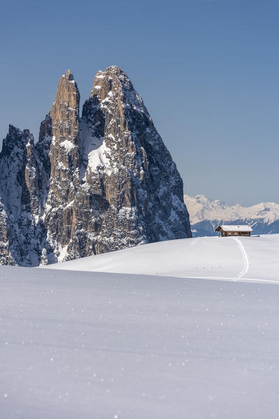 Alpe di Siusi/Seiser Alm, Dolomites, South Tyrol, Italy. Winter landscape on the Alpe di Siusi/Seiser Alm with the peaks of Euringer and Santner