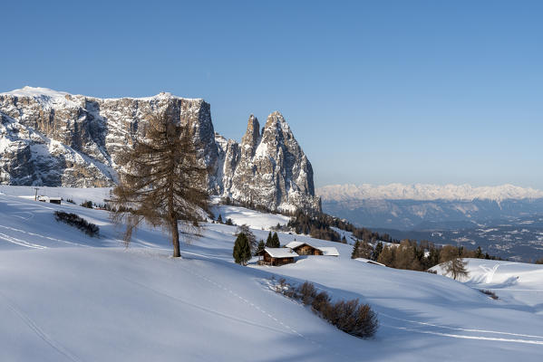 Alpe di Siusi/Seiser Alm, Dolomites, South Tyrol, Italy. Winter landscape on the Alpe di Siusi/Seiser Alm with the peaks of Sciliar / Schlern, Euringer and Santner