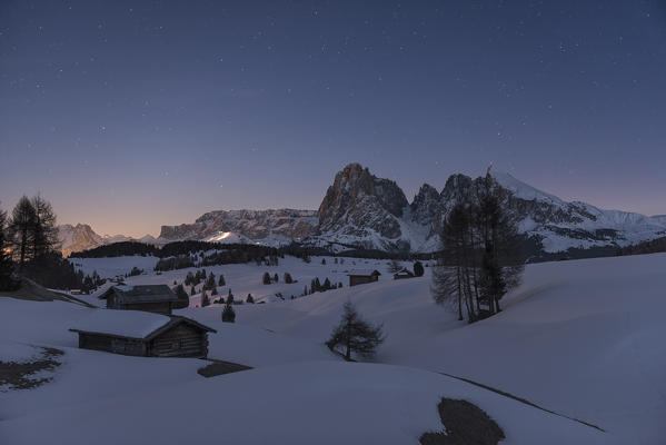 Alpe di Siusi/Seiser Alm, Dolomites, South Tyrol, Italy. Starry sky over the Alpe di Siusi / Seiser Alm with the peaks of Sassolungo / Langkofel and Sassopiatto / Plattkofel