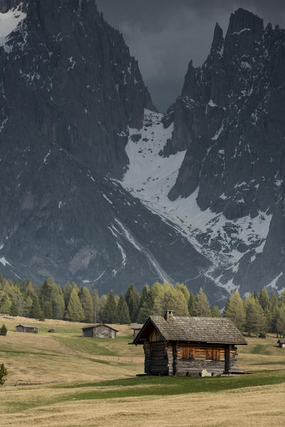 Alpe di Siusi/Seiser Alm, Dolomites, South Tyrol, Italy.