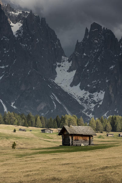 Alpe di Siusi/Seiser Alm, Dolomites, South Tyrol, Italy.