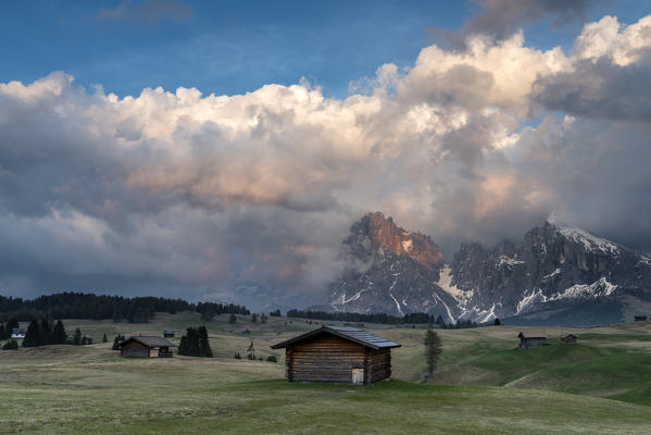 Alpe di Siusi/Seiser Alm, Dolomites, South Tyrol, Italy. View from the Alpe di Siusi to the peaks of Sassolungo/Langkofel and Sassopiatto / Plattkofel