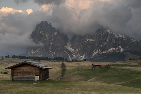 Alpe di Siusi/Seiser Alm, Dolomites, South Tyrol, Italy. View from the Alpe di Siusi to the peaks of Sassolungo/Langkofel and Sassopiatto / Plattkofel