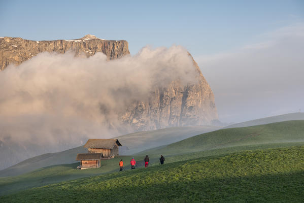 Alpe di Siusi/Seiser Alm, Dolomites, South Tyrol, Italy. Sunrise on the Seiser Alm / Alpe di Siusi. In the background the peaks of Sciliar/Schlern, Euringer and Santner