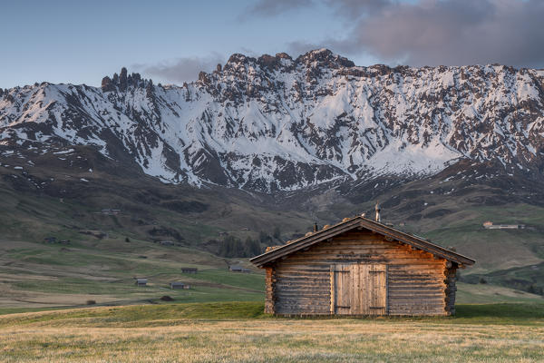 Alpe di Siusi/Seiser Alm, Dolomites, South Tyrol, Italy. 