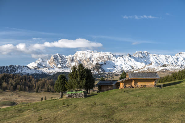 Alpe di Siusi/Seiser Alm, Dolomites, South Tyrol, Italy. 