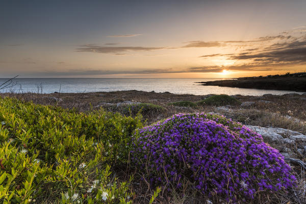 Capilungo, Alliste, province of Lecce, Salento, Apulia, Italy. Sunset in Capilungo