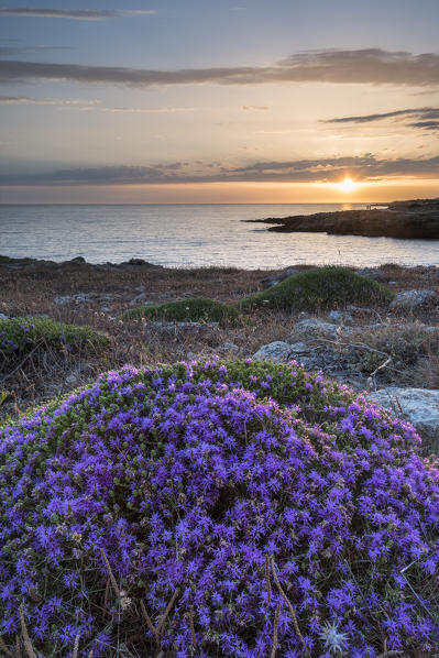 Capilungo, Alliste, province of Lecce, Salento, Apulia, Italy. Sunset in Capilungo