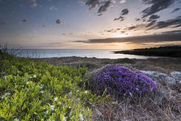 Capilungo, Alliste, province of Lecce, Salento, Apulia, Italy. Sunset in Capilungo