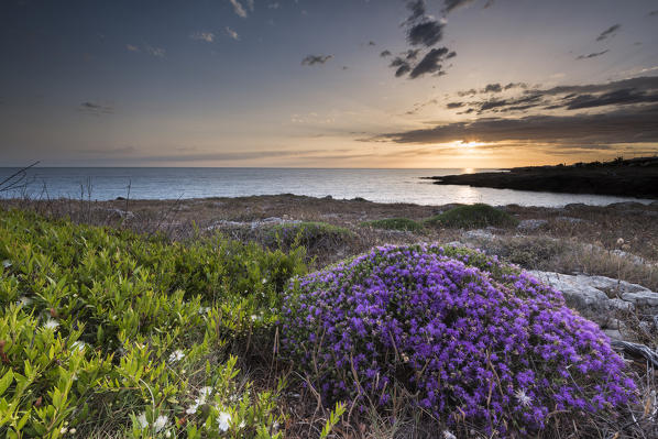 Capilungo, Alliste, province of Lecce, Salento, Apulia, Italy. Sunset in Capilungo