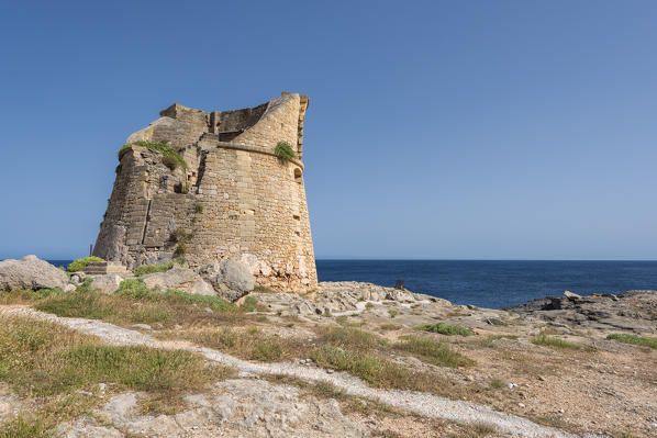 Santa Cesarea Terme, Porto Miggiano, province of Lecce, Salento, Apulia, Italy. The Tower Miggiano