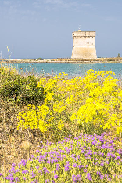 Porto Cesareo, province of Lecce, Salento, Apulia, Italy. The Chianca Tower