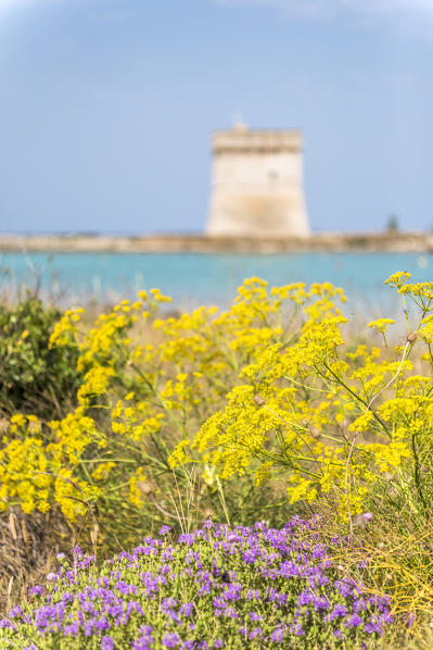 Porto Cesareo, province of Lecce, Salento, Apulia, Italy. The Chianca Tower