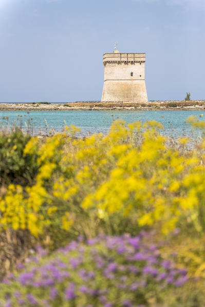 Porto Cesareo, province of Lecce, Salento, Apulia, Italy. The Chianca Tower