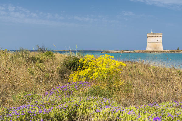 Porto Cesareo, province of Lecce, Salento, Apulia, Italy. The Chianca Tower