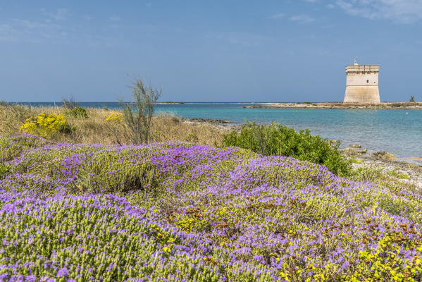 Porto Cesareo, province of Lecce, Salento, Apulia, Italy. The Chianca Tower