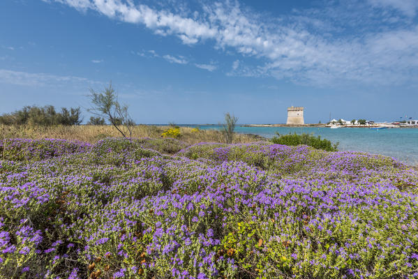 Porto Cesareo, province of Lecce, Salento, Apulia, Italy. The Chianca Tower