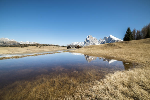 Alpe di Siusi/Seiser Alm, Dolomites, South Tyrol, Italy. Reflections on the Alpe di Siusi/Seiser Alm 