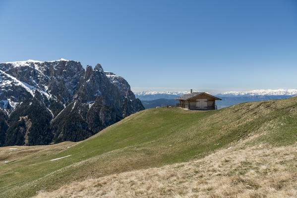 Alpe di Siusi/Seiser Alm, Dolomites, South Tyrol, Italy. Sunrise on plateau of Bullaccia/Puflatsch. In the background the peaks of Sciliar