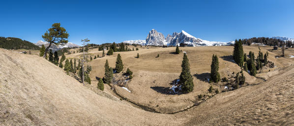 Alpe di Siusi/Seiser Alm, Dolomites, South Tyrol, Italy. 