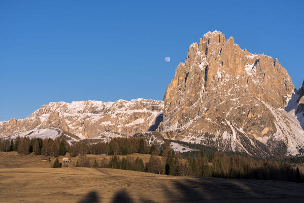 Alpe di Siusi/Seiser Alm, Dolomites, South Tyrol, Italy. Alpenglow on the Sassolungo/Langkofel