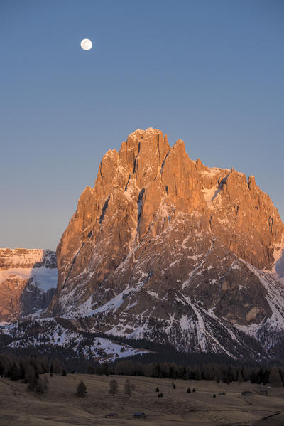 Alpe di Siusi/Seiser Alm, Dolomites, South Tyrol, Italy. Alpenglow on the Sassolungo/Langkofel